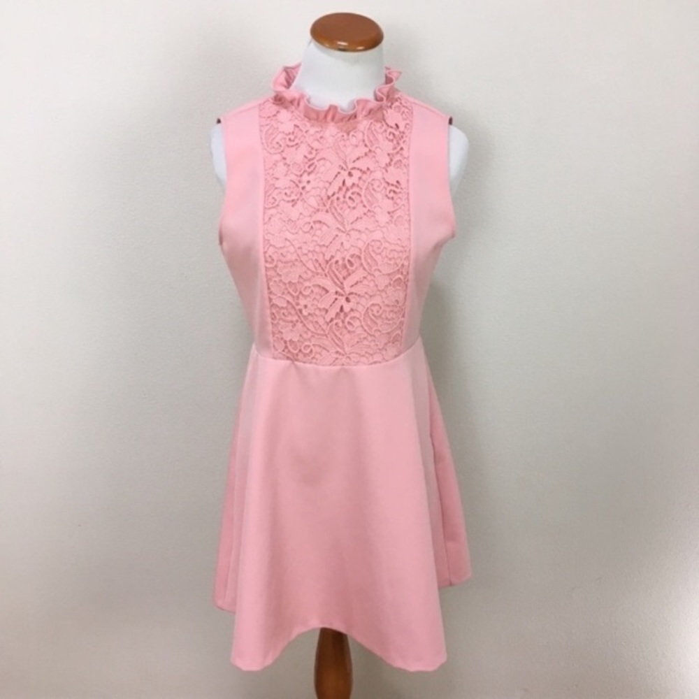 ZARA WOMEN Pink Ruffle Neck Lace Sleeveless A-Line Dress Women’s Sz Large NEW